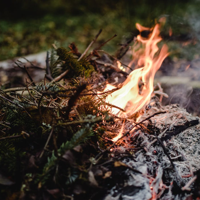 Été 2025 : la fumée des incendies fait-elle chuter votre SpO₂ ?