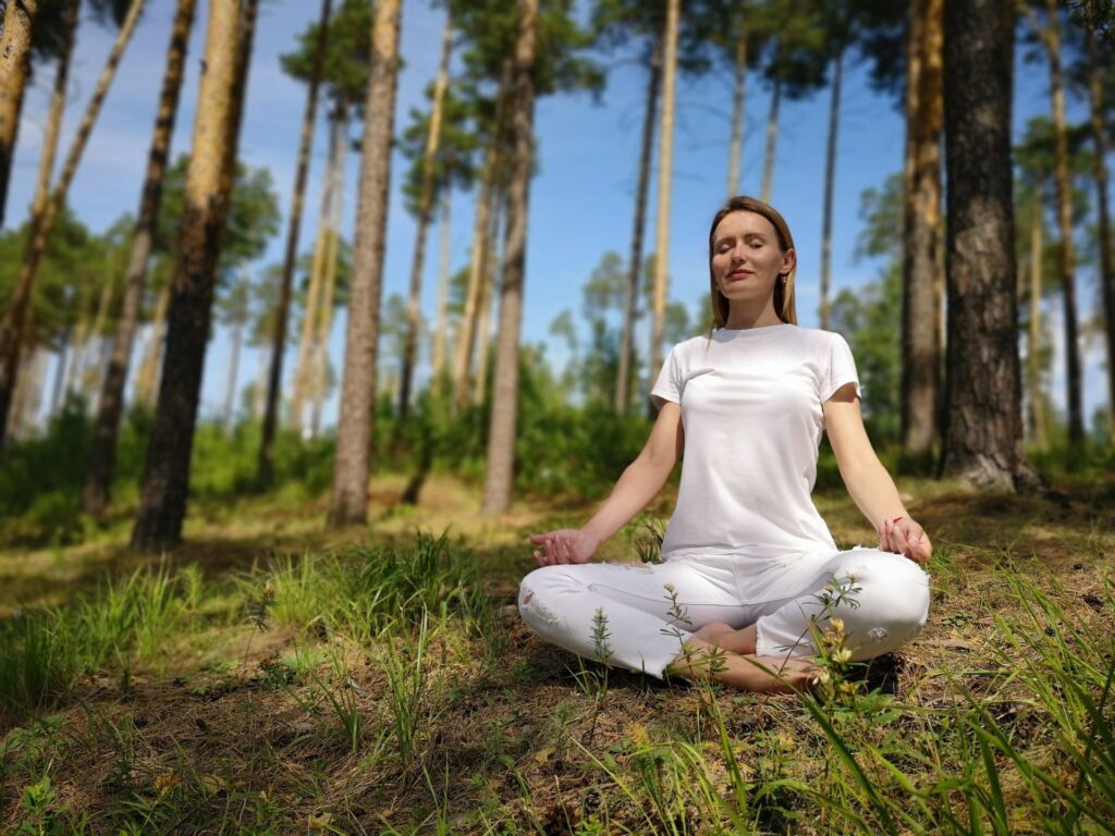 Shinrin-Yoku : le bain de forêt qui apaise tension et stress