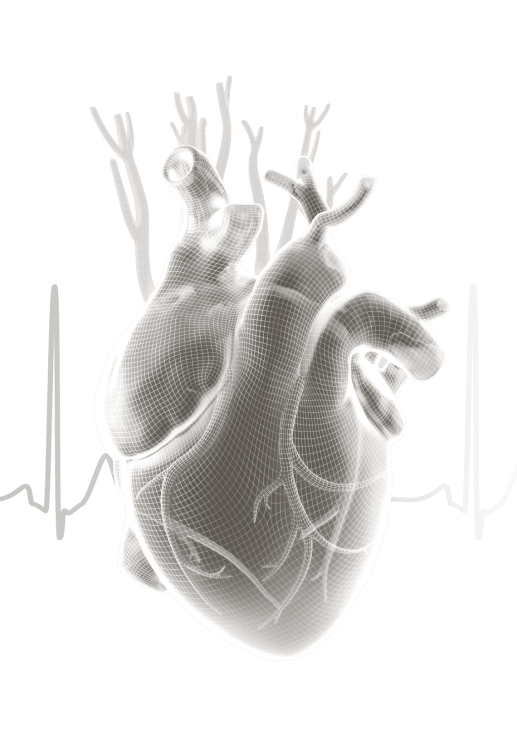Fonction ECG du Withings BPM Core
